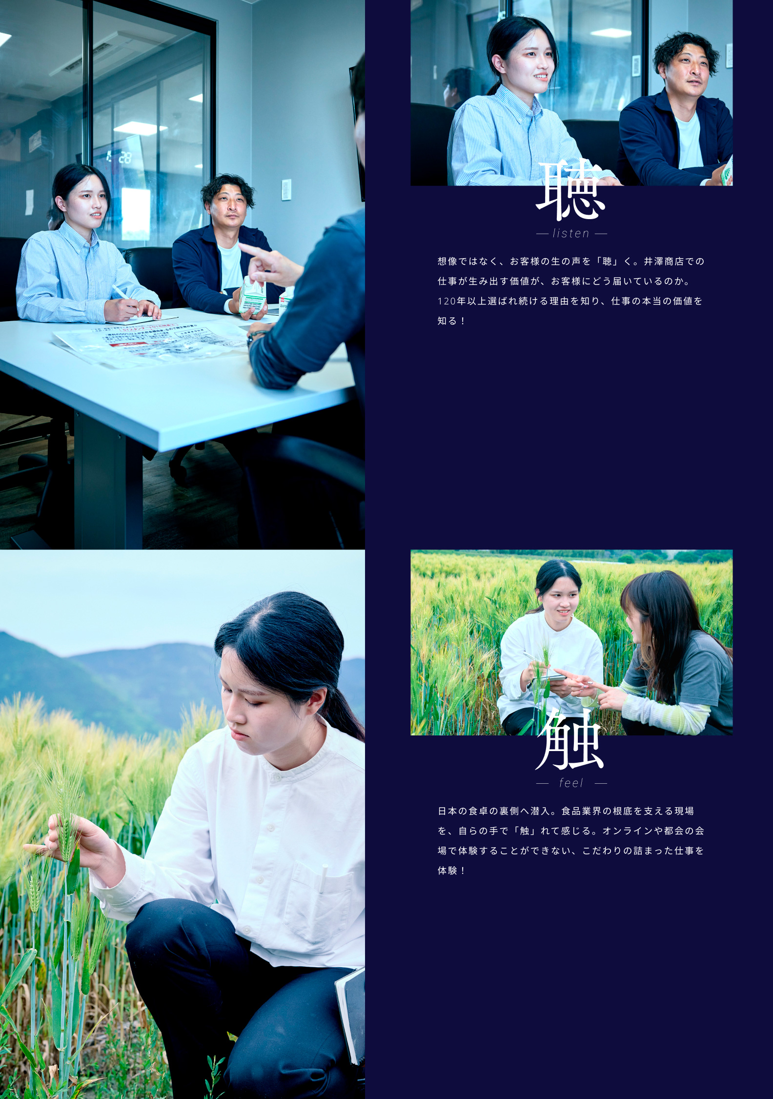 井澤商店インターンシップLP PCデザイン 4枚目